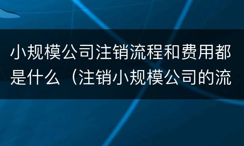 小规模公司注销流程和费用都是什么（注销小规模公司的流程是什么,具体一点）