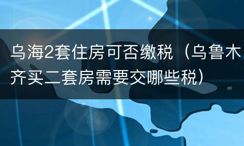 乌海2套住房可否缴税（乌鲁木齐买二套房需要交哪些税）