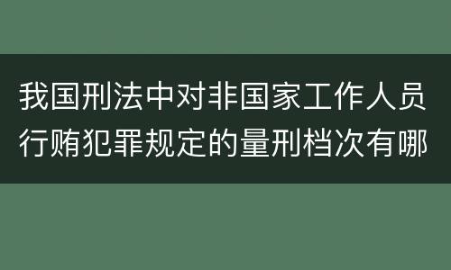 我国刑法中对非国家工作人员行贿犯罪规定的量刑档次有哪些