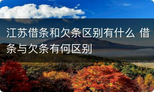 江苏借条和欠条区别有什么 借条与欠条有何区别