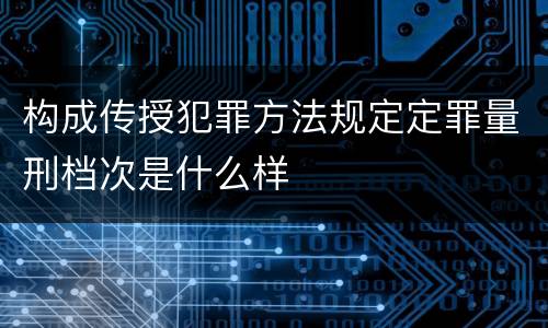 构成传授犯罪方法规定定罪量刑档次是什么样