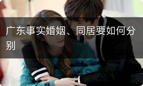广东事实婚姻、同居要如何分别