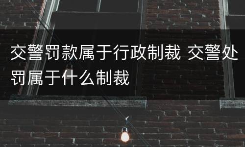 交警罚款属于行政制裁 交警处罚属于什么制裁