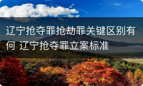 辽宁抢夺罪抢劫罪关键区别有何 辽宁抢夺罪立案标准