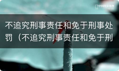 不追究刑事责任和免于刑事处罚（不追究刑事责任和免于刑事处罚一样吗）