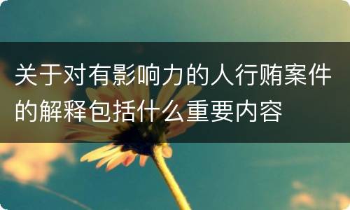 关于对有影响力的人行贿案件的解释包括什么重要内容