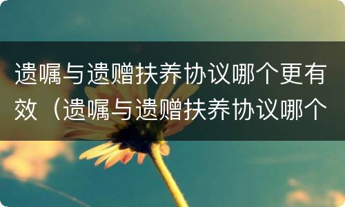 遗嘱与遗赠扶养协议哪个更有效（遗嘱与遗赠扶养协议哪个优先）