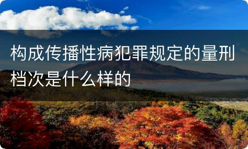 构成传播性病犯罪规定的量刑档次是什么样的