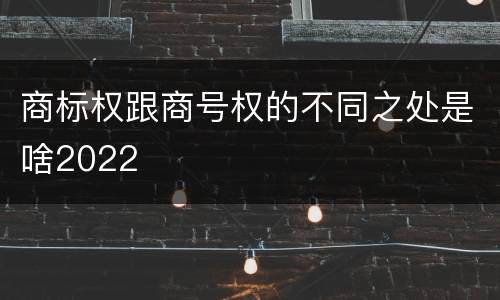 商标权跟商号权的不同之处是啥2022