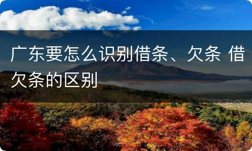 广东要怎么识别借条、欠条 借欠条的区别