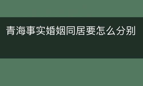 青海事实婚姻同居要怎么分别