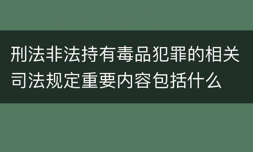 刑法非法持有毒品犯罪的相关司法规定重要内容包括什么