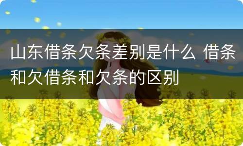 山东借条欠条差别是什么 借条和欠借条和欠条的区别
