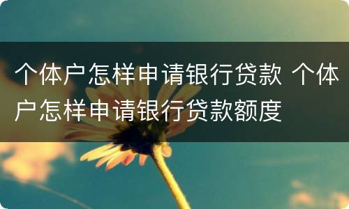 个体户怎样申请银行贷款 个体户怎样申请银行贷款额度