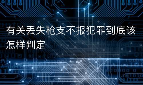 有关丢失枪支不报犯罪到底该怎样判定