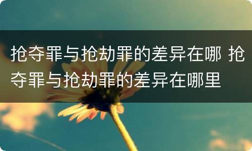 抢夺罪与抢劫罪的差异在哪 抢夺罪与抢劫罪的差异在哪里