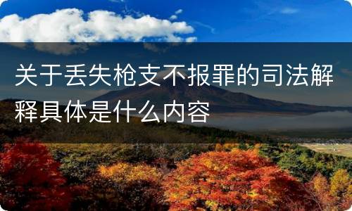 关于丢失枪支不报罪的司法解释具体是什么内容