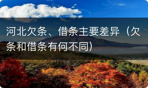 河北欠条、借条主要差异（欠条和借条有何不同）