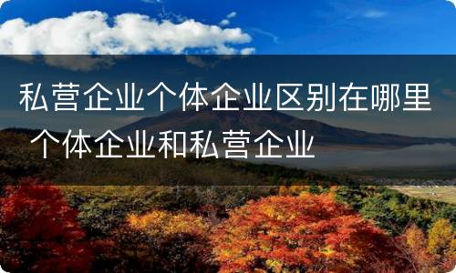 私营企业个体企业区别在哪里 个体企业和私营企业