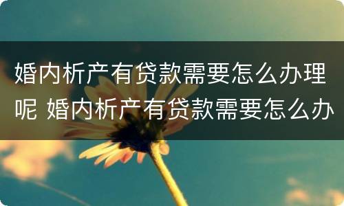 婚内析产有贷款需要怎么办理呢 婚内析产有贷款需要怎么办理呢视频