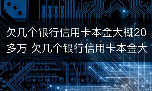 欠几个银行信用卡本金大概20多万 欠几个银行信用卡本金大概20多万怎么还