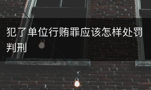 犯了单位行贿罪应该怎样处罚判刑