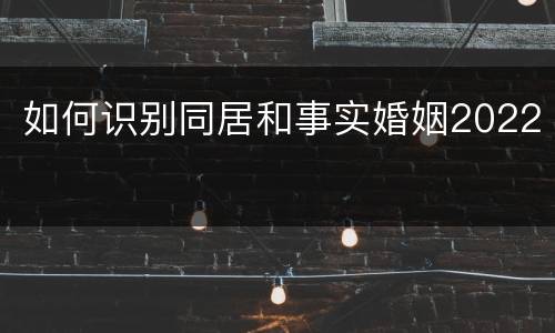 如何识别同居和事实婚姻2022