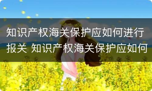 知识产权海关保护应如何进行报关 知识产权海关保护应如何进行报关审批