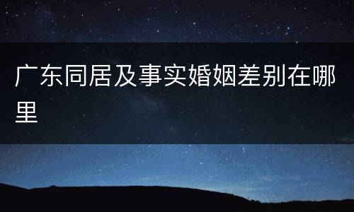 广东同居及事实婚姻差别在哪里