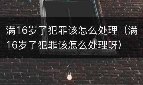 满16岁了犯罪该怎么处理（满16岁了犯罪该怎么处理呀）