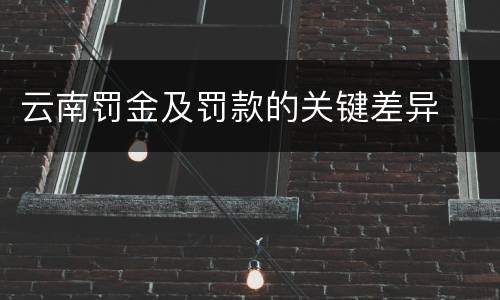 云南罚金及罚款的关键差异