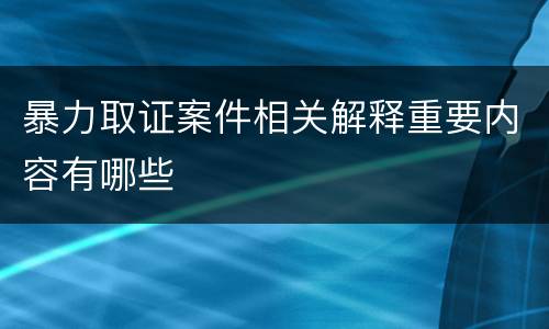 暴力取证案件相关解释重要内容有哪些