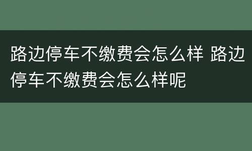 路边停车不缴费会怎么样 路边停车不缴费会怎么样呢
