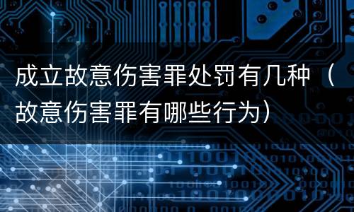 成立故意伤害罪处罚有几种（故意伤害罪有哪些行为）