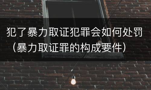 犯了暴力取证犯罪会如何处罚（暴力取证罪的构成要件）