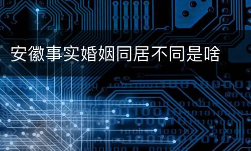 安徽事实婚姻同居不同是啥