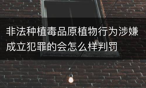 非法种植毒品原植物行为涉嫌成立犯罪的会怎么样判罚