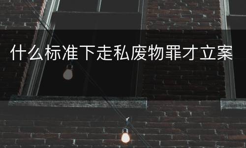 什么标准下走私废物罪才立案