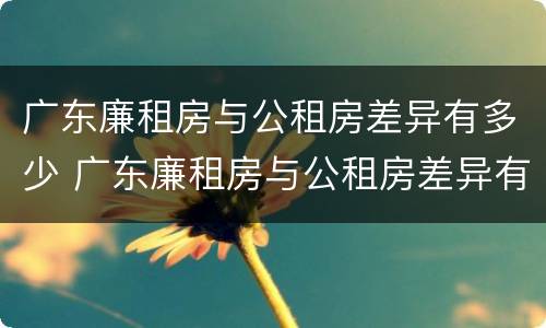 广东廉租房与公租房差异有多少 广东廉租房与公租房差异有多少个
