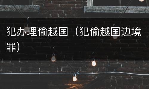 犯办理偷越国（犯偷越国边境罪）
