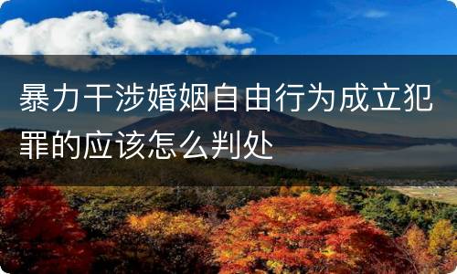 暴力干涉婚姻自由行为成立犯罪的应该怎么判处