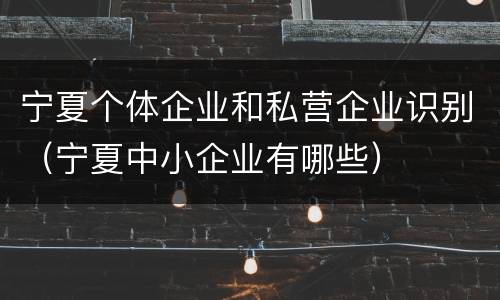 宁夏个体企业和私营企业识别（宁夏中小企业有哪些）