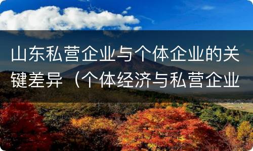 山东私营企业与个体企业的关键差异（个体经济与私营企业的区别）
