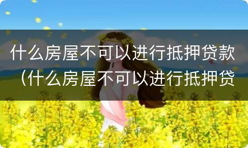 什么房屋不可以进行抵押贷款（什么房屋不可以进行抵押贷款的）