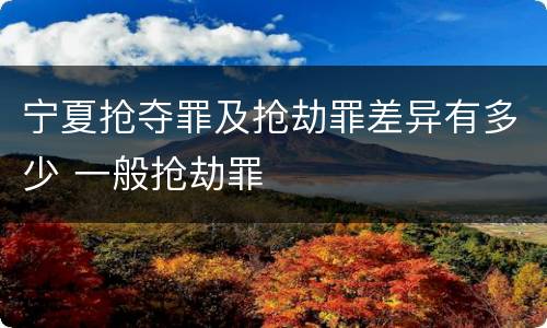 宁夏抢夺罪及抢劫罪差异有多少 一般抢劫罪