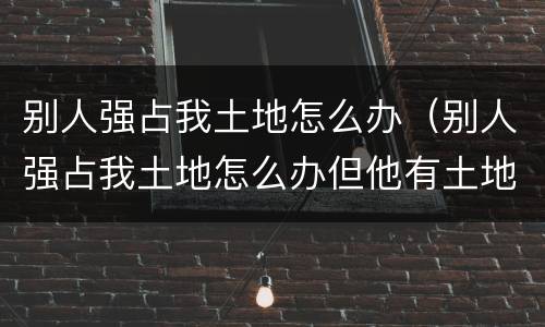 别人强占我土地怎么办（别人强占我土地怎么办但他有土地证）