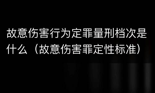 故意伤害行为定罪量刑档次是什么（故意伤害罪定性标准）