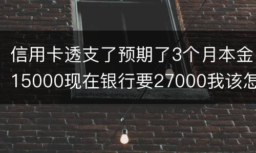 信用卡透支了预期了3个月本金15000现在银行要27000我该怎么办