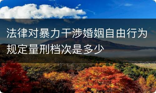 法律对暴力干涉婚姻自由行为规定量刑档次是多少