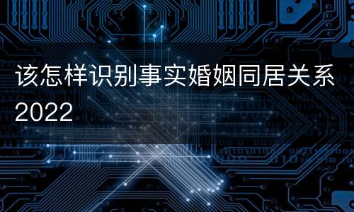 该怎样识别事实婚姻同居关系2022
